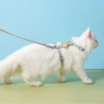 Rabbit Cat Harness Carrier Leash Set 3 Color Travel Cat Lead